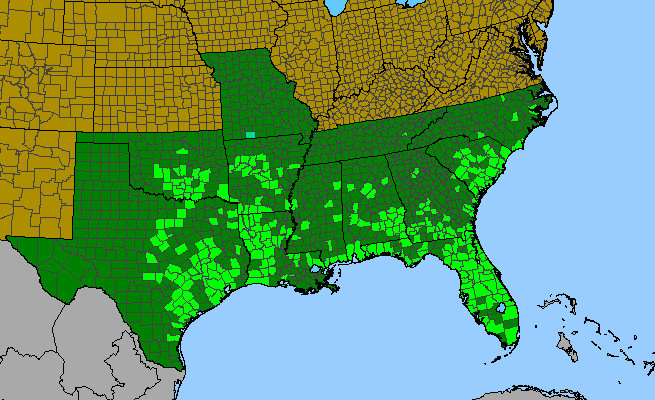 The range of Sesbania vesicaria